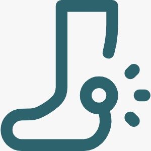 Ankle