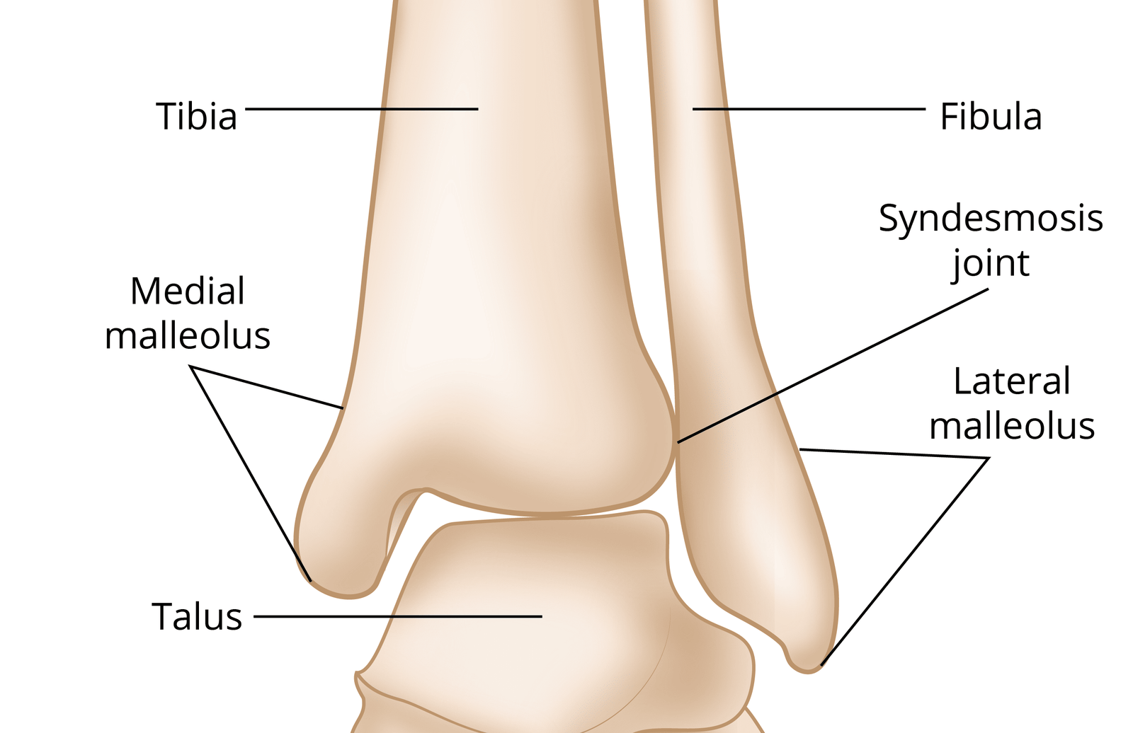 Treatment Options