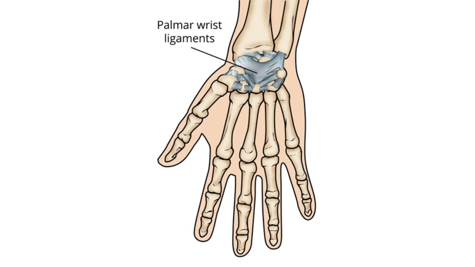 Treatment Options